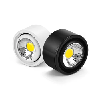 Estompat 3W/5W/7W LED Lumina Plafon Acrilic Reglabil Imagine Lampa Prezenta Dormitor Alb/Negru Shell