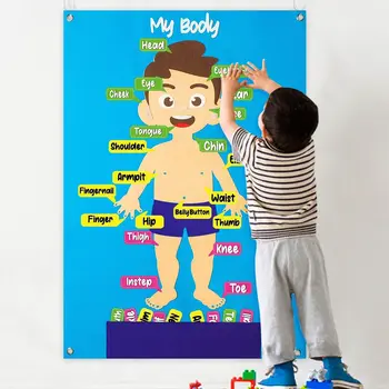 PUXIDA Montessori Copilul Ocupat Bord Jucării Simțit Corpul Uman Preșcolar Biologie Devreme Jucării de Învățare cu 30 de Îndepărtat Părți ale Corpului