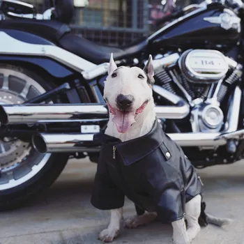 MPK Noua Serie de Câine Motocicleta din Piele Toamna Iarna Bumbac Strat Cald, Elegant Și Durabil