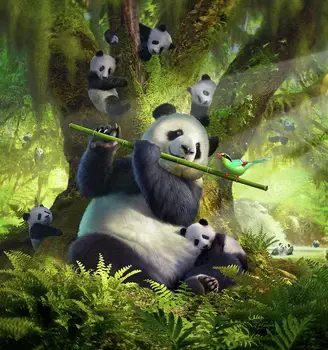 JMINE Div 5D Panda Pădure Copac Plin de Diamante Pictura cruciulițe kituri de artă de Înaltă Calitate de Animale 3D vopsea de diamante